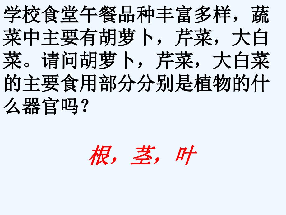 苏教版生物七年级上册3.5.2《植物根的生长》课件2_第1页