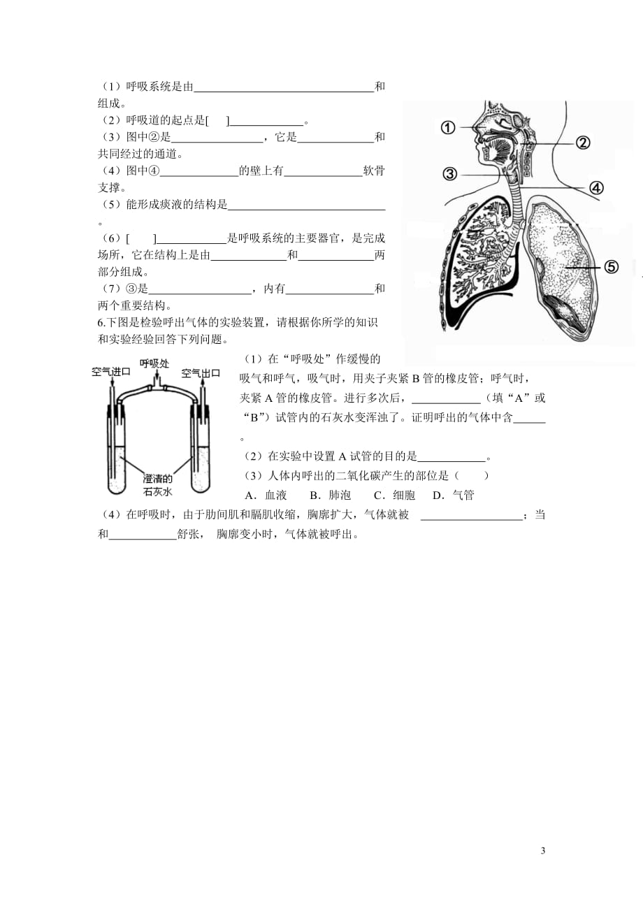 第10章《人体的能量供应》word练习题_第3页