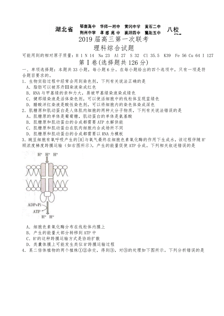 湖北省八校2019届高中三年级12月第一次联考理综试题_第1页