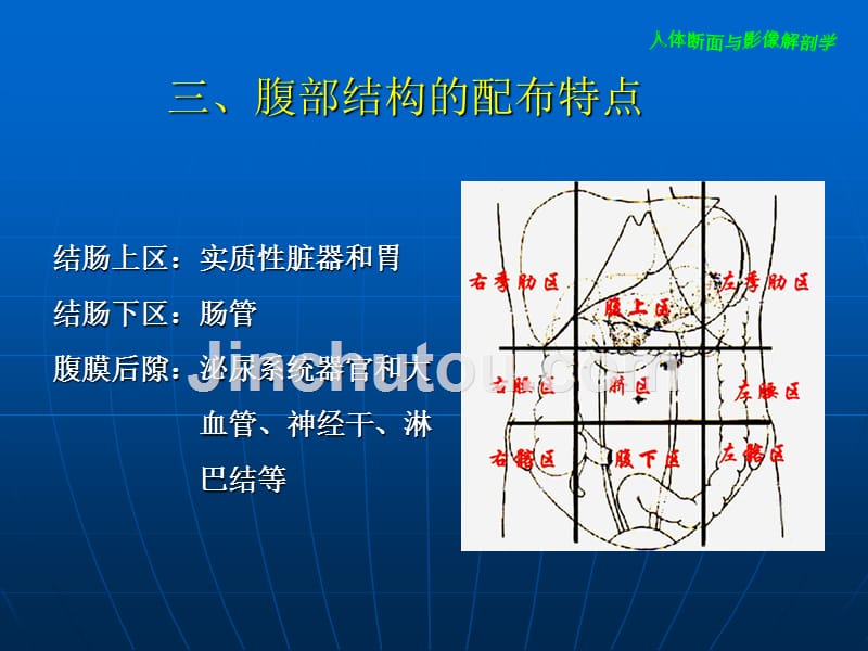 《解剖学腹部》PPT课件.ppt_第4页