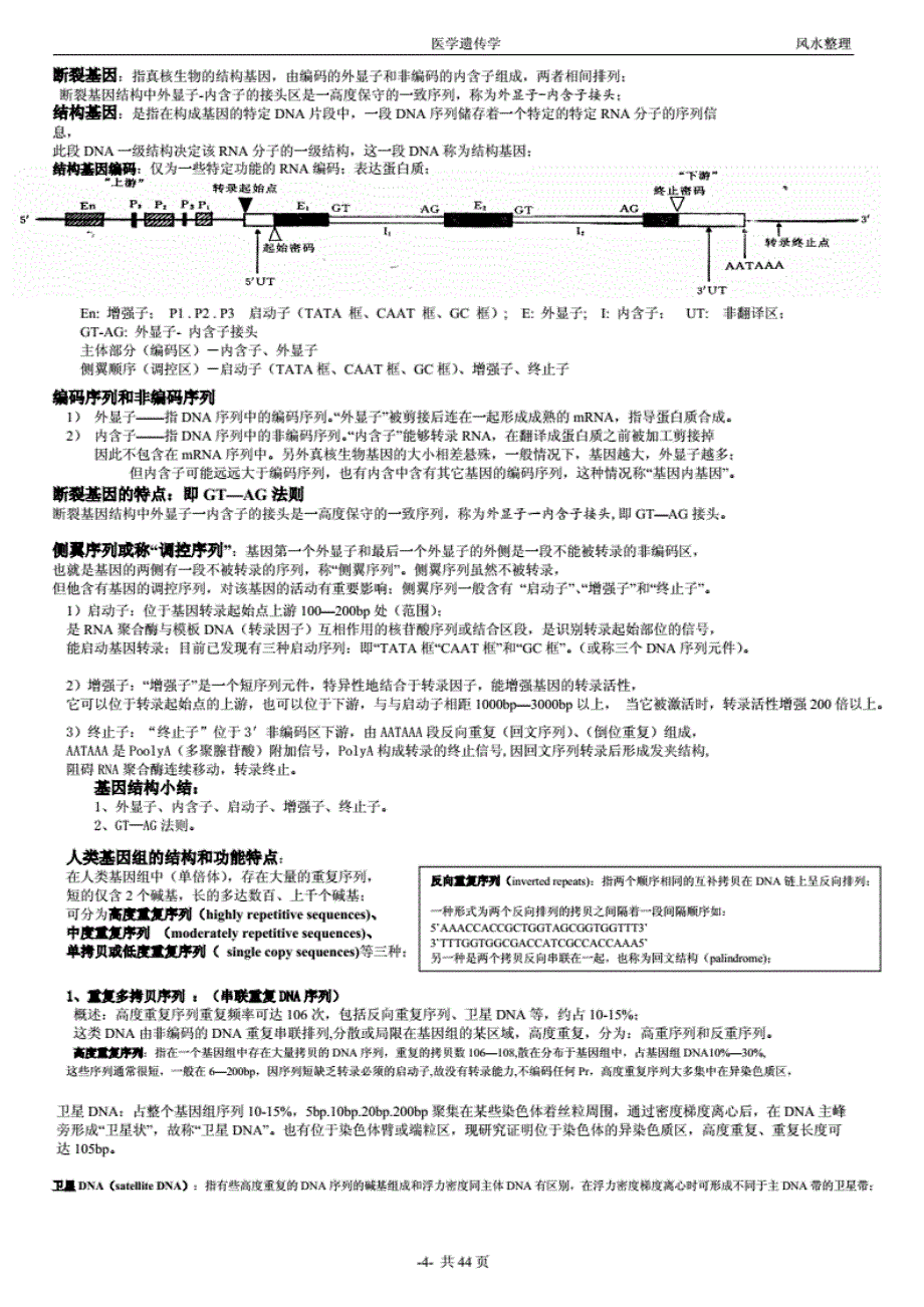 医学遗传学笔记整理_第4页