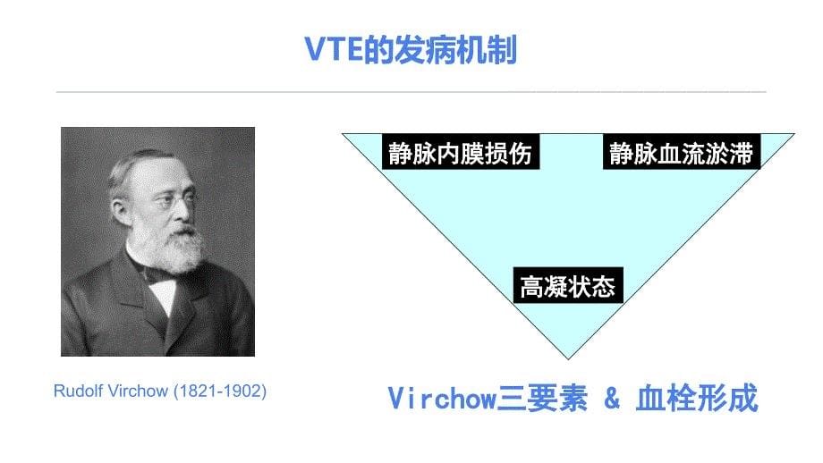 《静脉血栓栓塞症》PPT课件.ppt_第5页