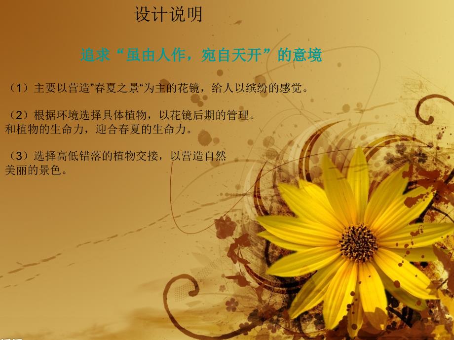 《花镜设计作业》PPT课件.ppt_第3页