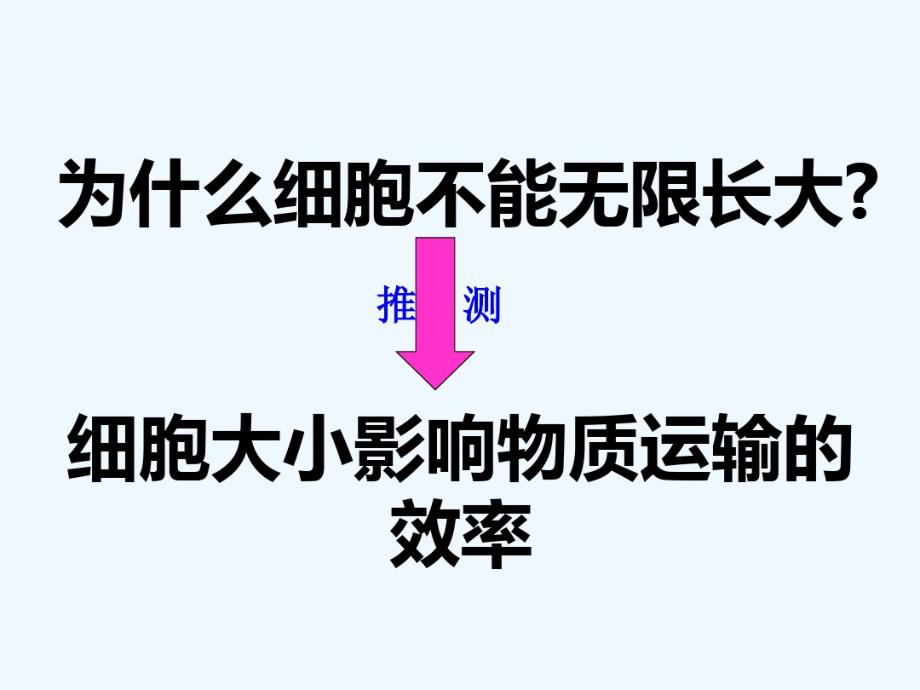 高考一轮复习细胞增殖.pdf_第2页