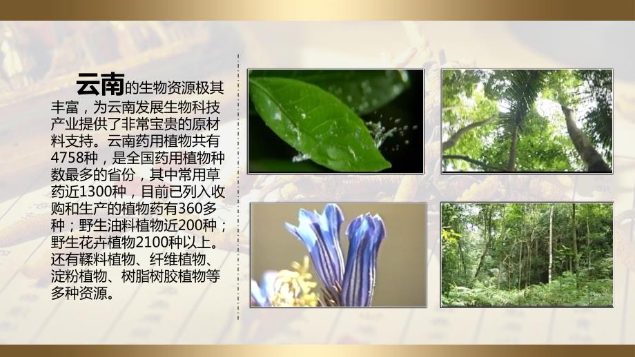 《迈卡生物简介》PPT课件.ppt_第3页