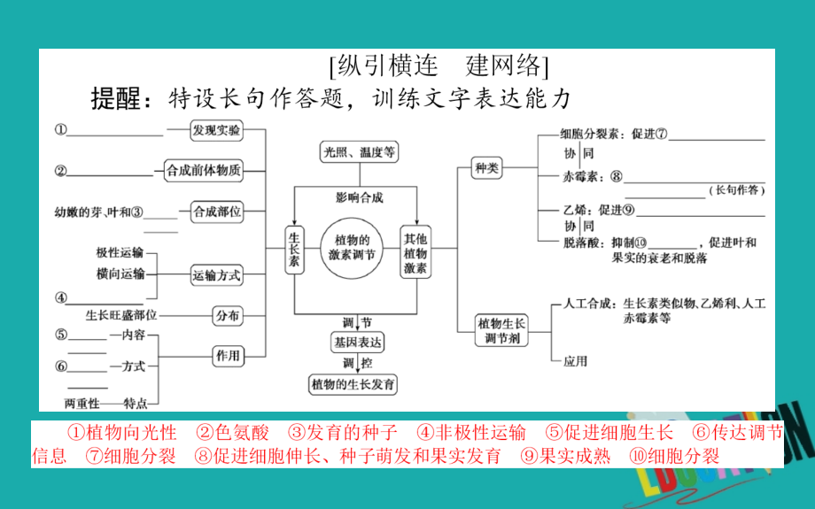 2020版高考生物二轮复习5.1植物生命活动的调节课件_第2页