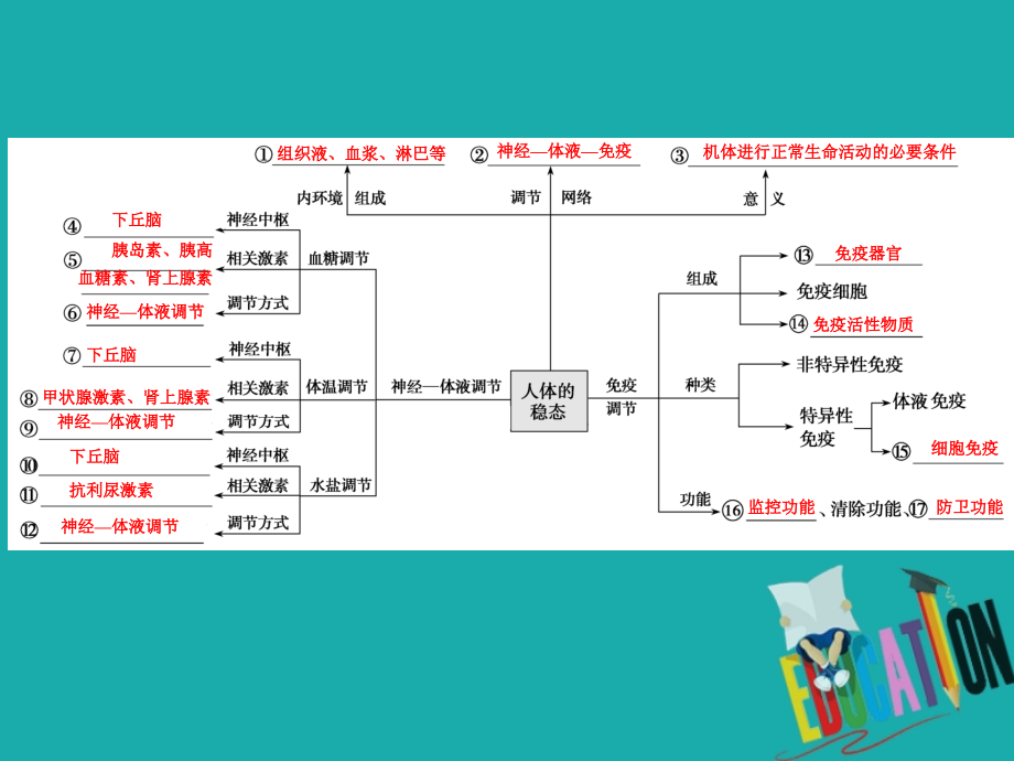 京津鲁琼专用2020版高考生物二轮复习专题四第二讲人体的稳态与免疫课件_第3页