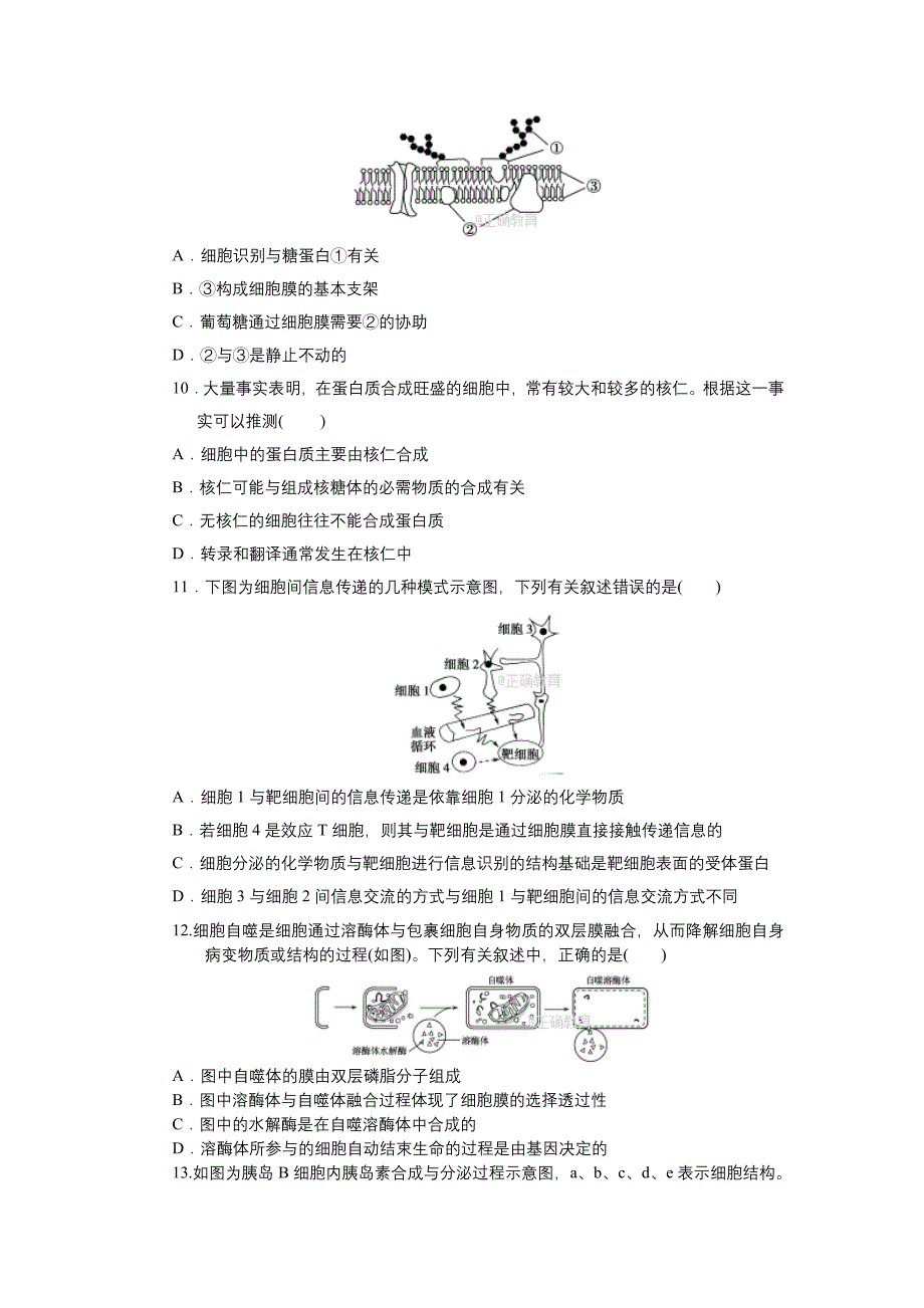 黑龙江省青冈一中高三第一次模拟考试生物试卷Word版含答案_第3页