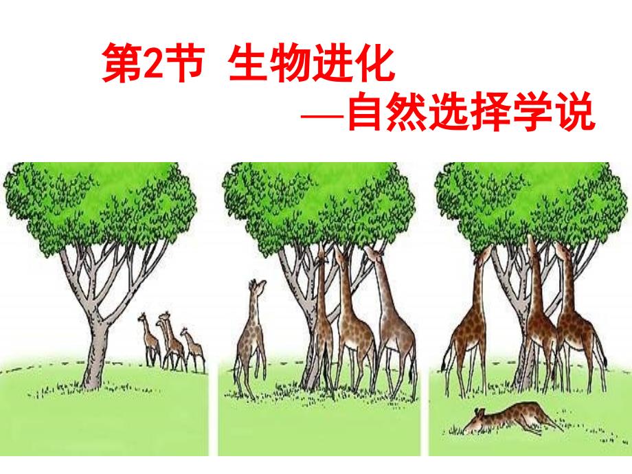 《自然选择学说》PPT课件.ppt_第1页