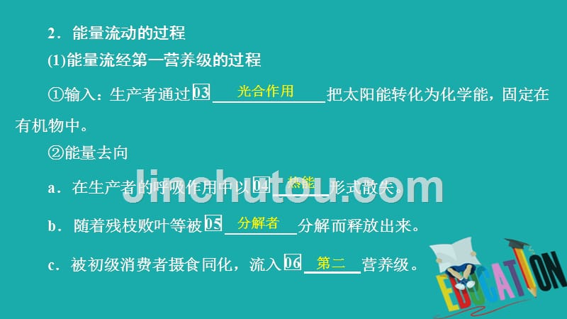 2020生物同步导学人教必修三课件：第5章　生态系统及其稳定性 第2节_第4页