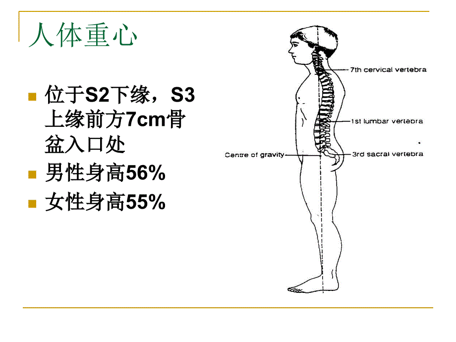 《平衡功能评定》PPT课件.ppt_第3页