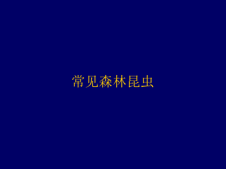 《常见森林昆虫》PPT课件.ppt_第1页