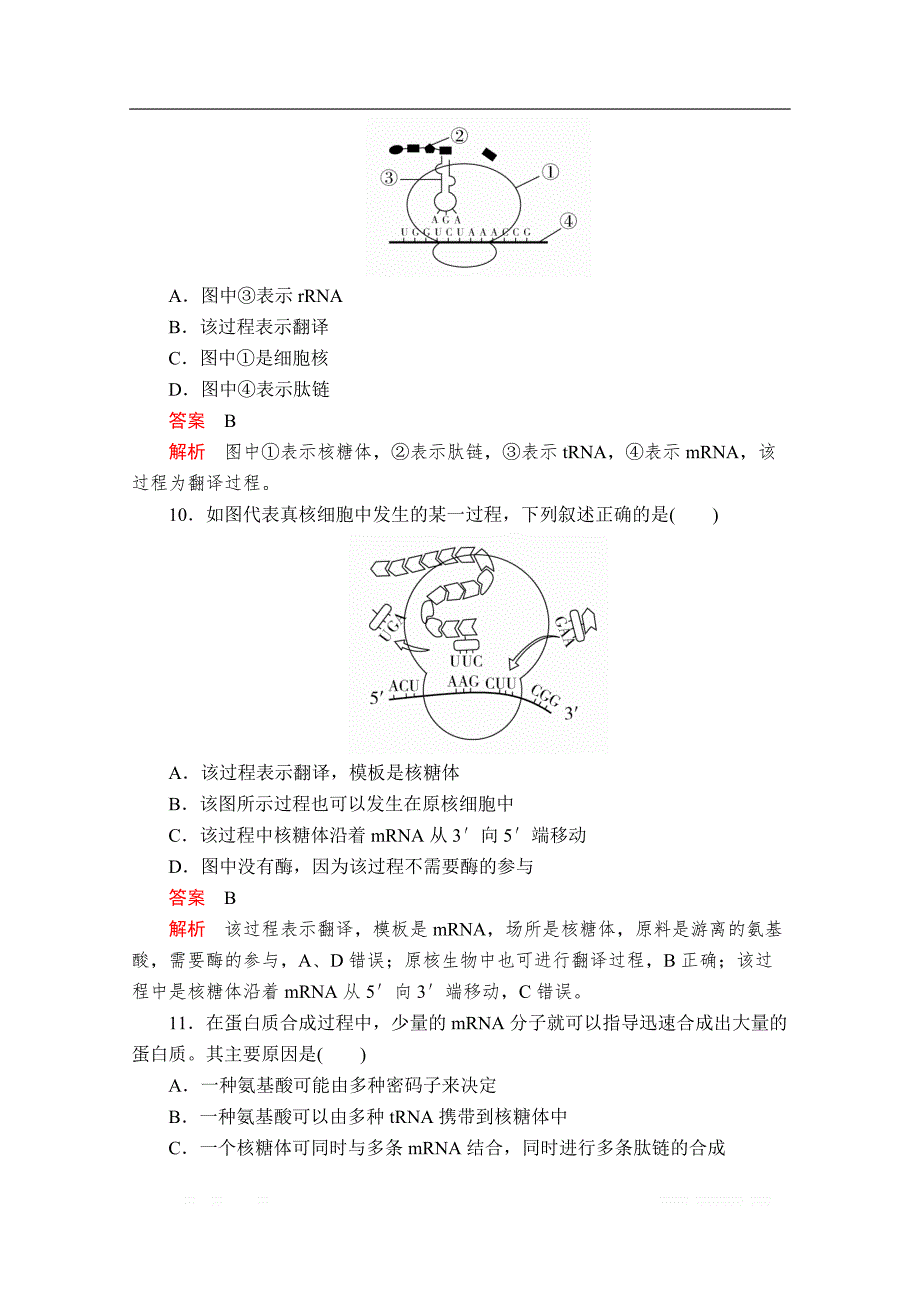 2020新教材生物人教版必修二检测：第4章 第1节 基因指导蛋白质的合成_第4页