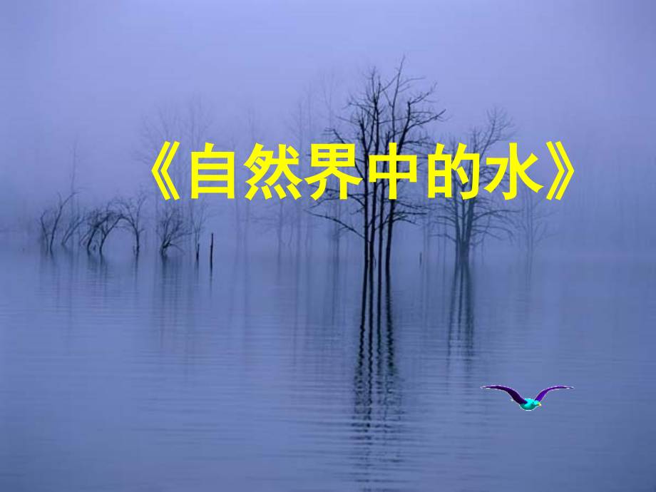 《自然界中的水》PPT课件.ppt_第1页