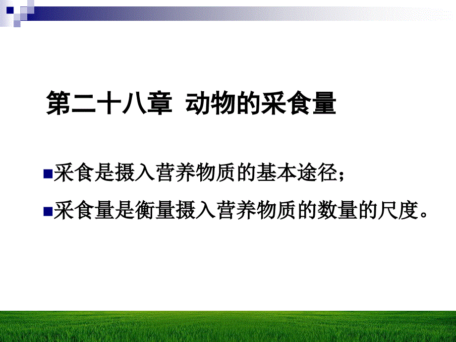 《动物的采食量》PPT课件.ppt_第1页