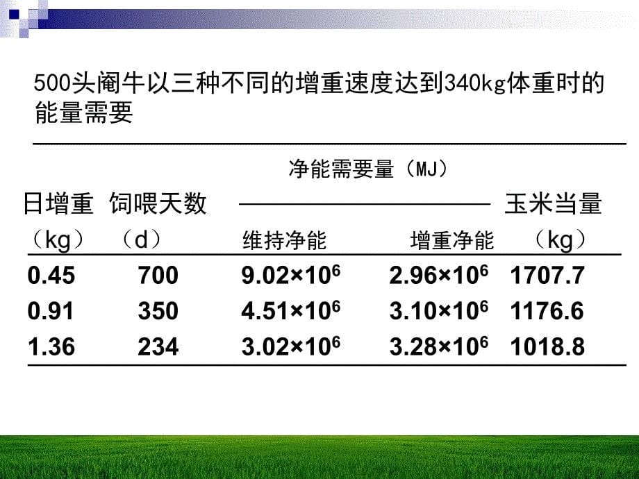 《动物的采食量》PPT课件.ppt_第5页