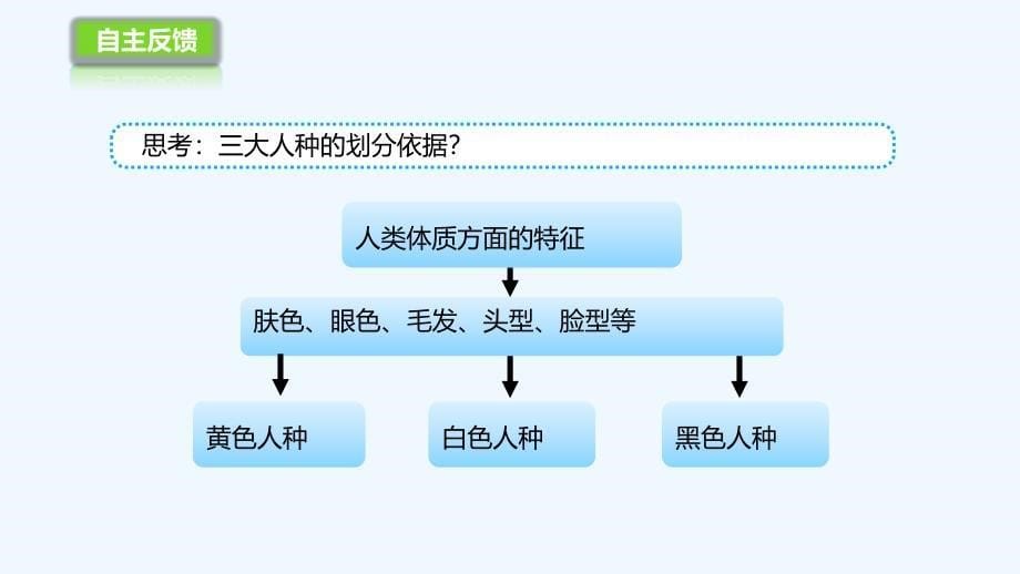 湘教版地理七年级上册3.2《世界的人种》课件4_第5页