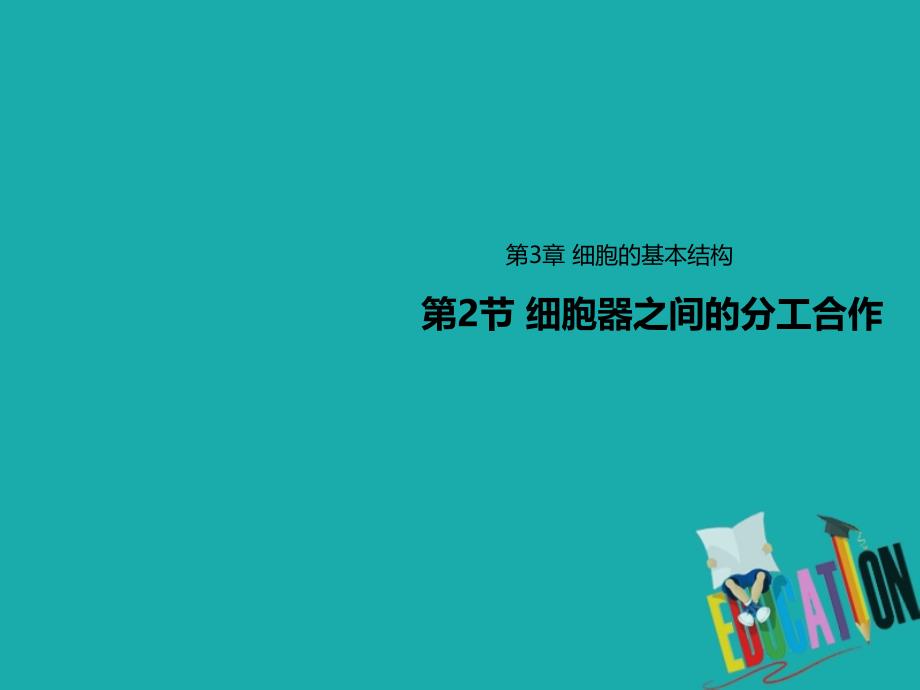 2019-2020学年高中生物人教版（2019）必修一课件：第三章 细胞基本结构 3.2细胞器之间的分工合作_第1页