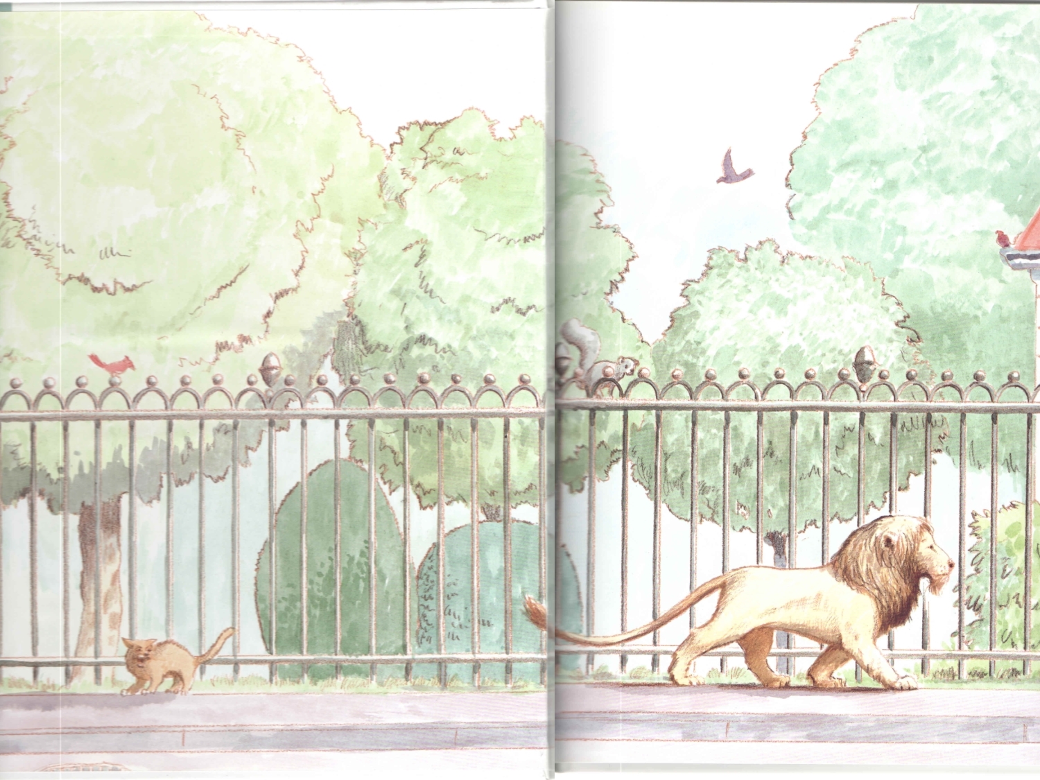 图书馆狮子绘本故事_第2页
