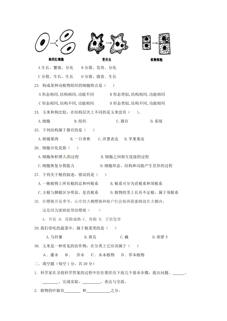 重庆市江津区七年级生物上学期期中试题新人教版_第3页