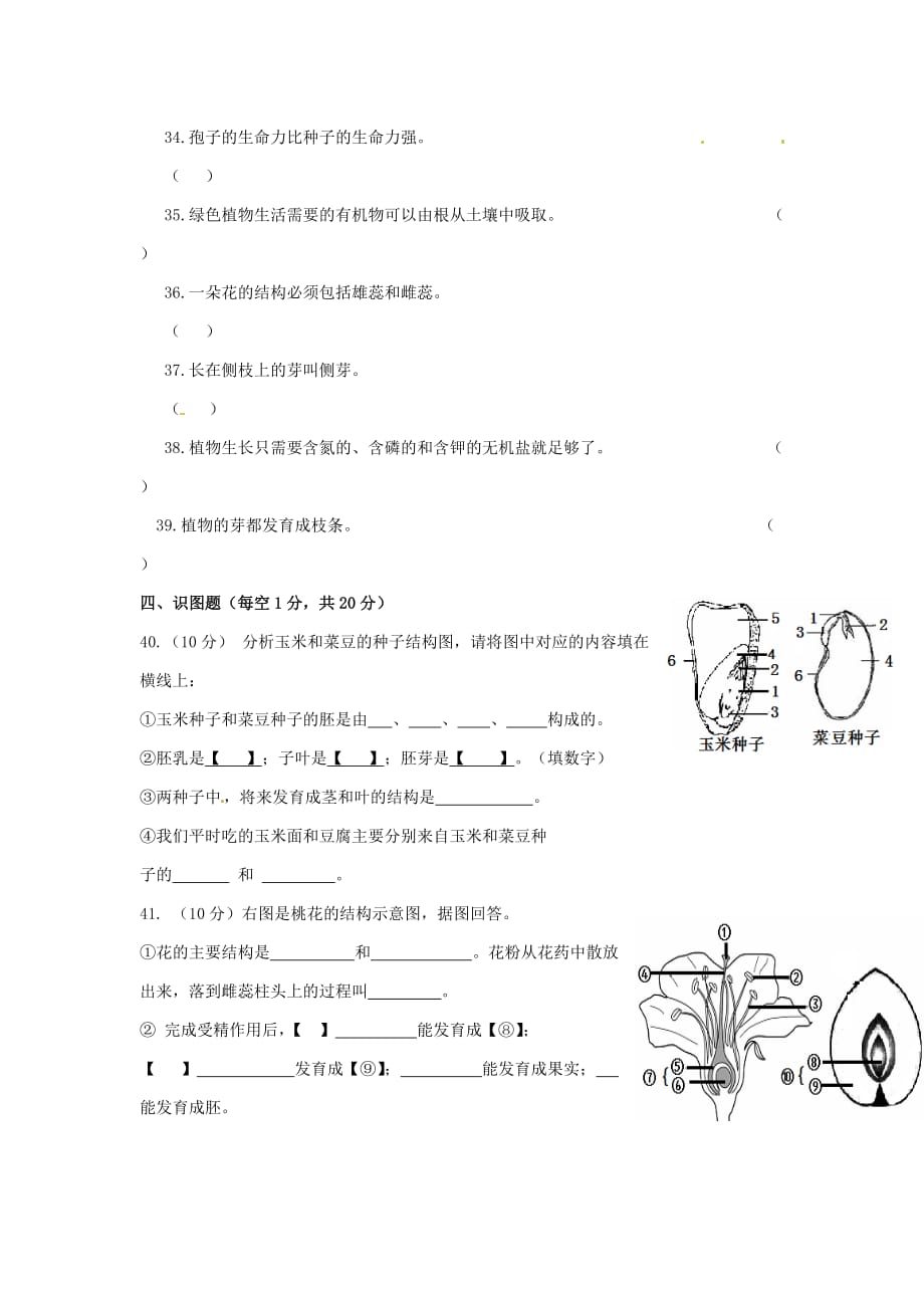 新人教版生物七年级上学期第三次月考试题_第4页