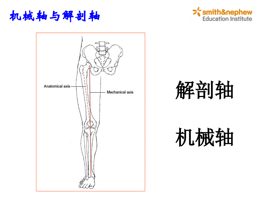 《膝关节生物力学》PPT课件.ppt_第4页