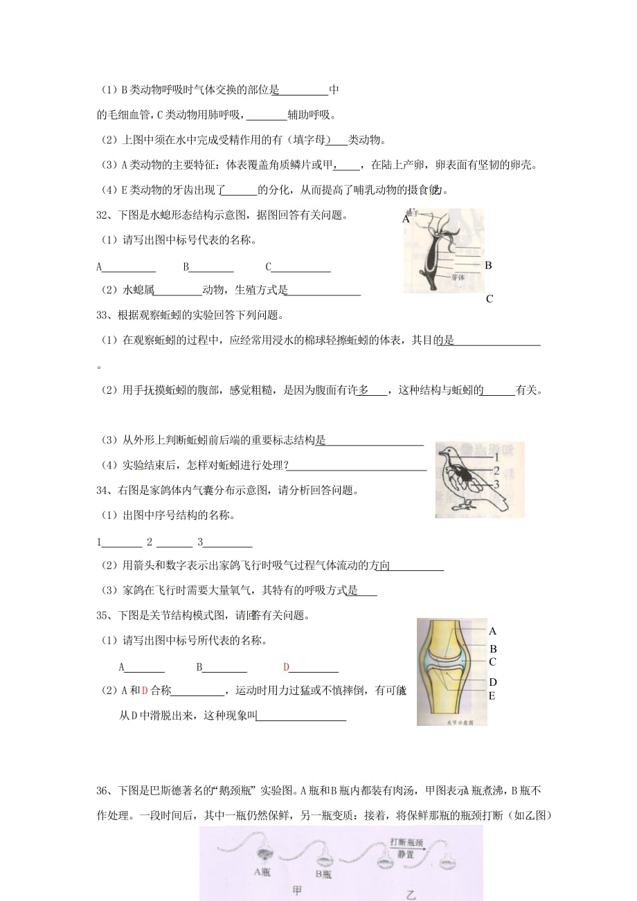 湖南省娄底市新化县八年级生物上学期期中试题_第4页