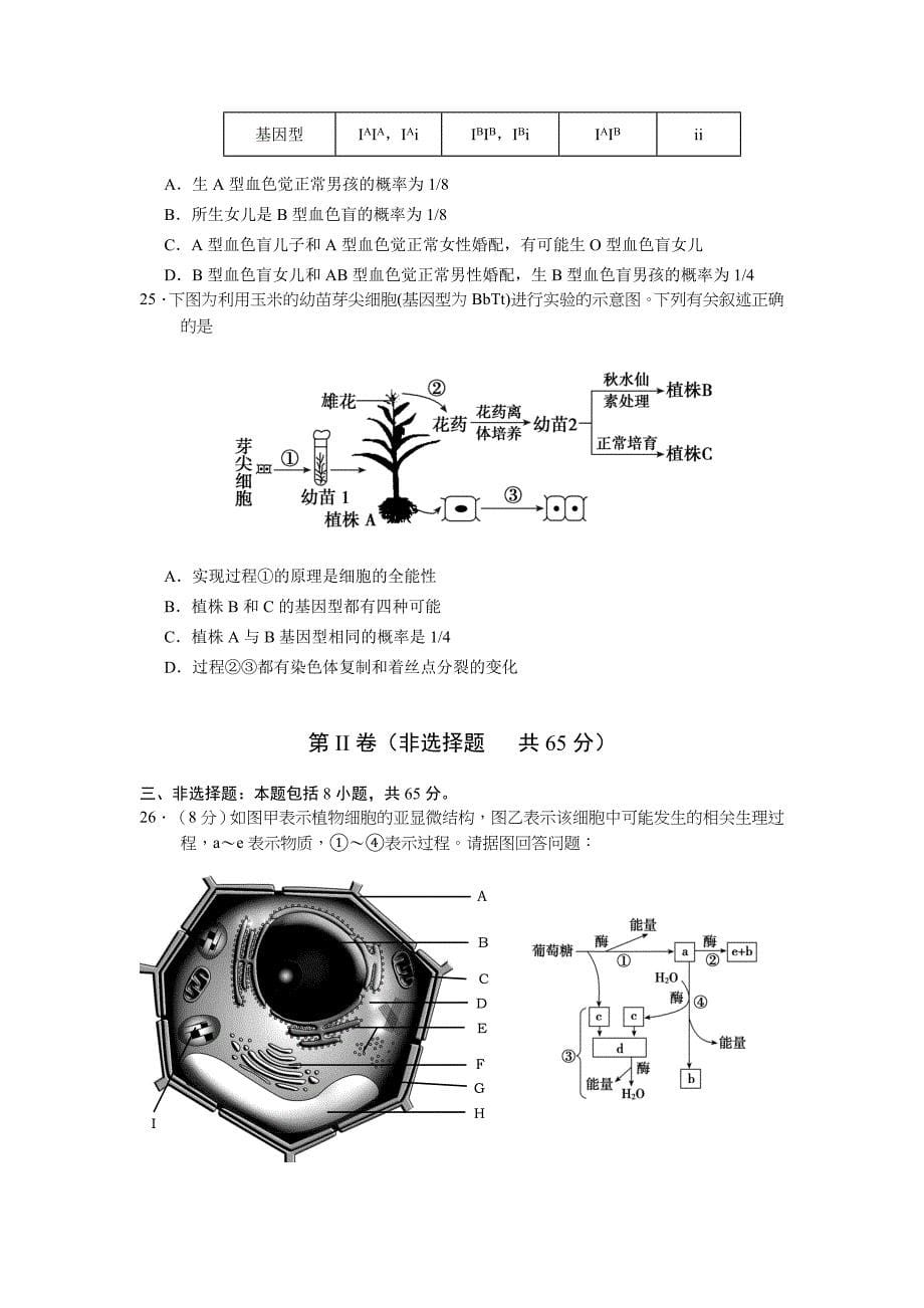 江苏省盐城市高三上学期期中考试生物Word版含答案_第5页