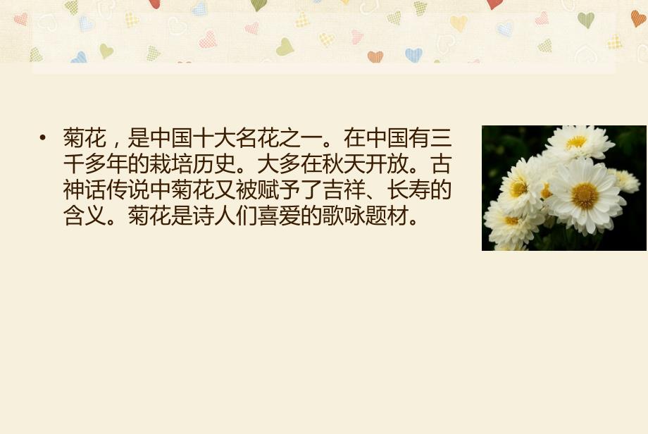 《菊花写生美术课》PPT课件.ppt_第3页