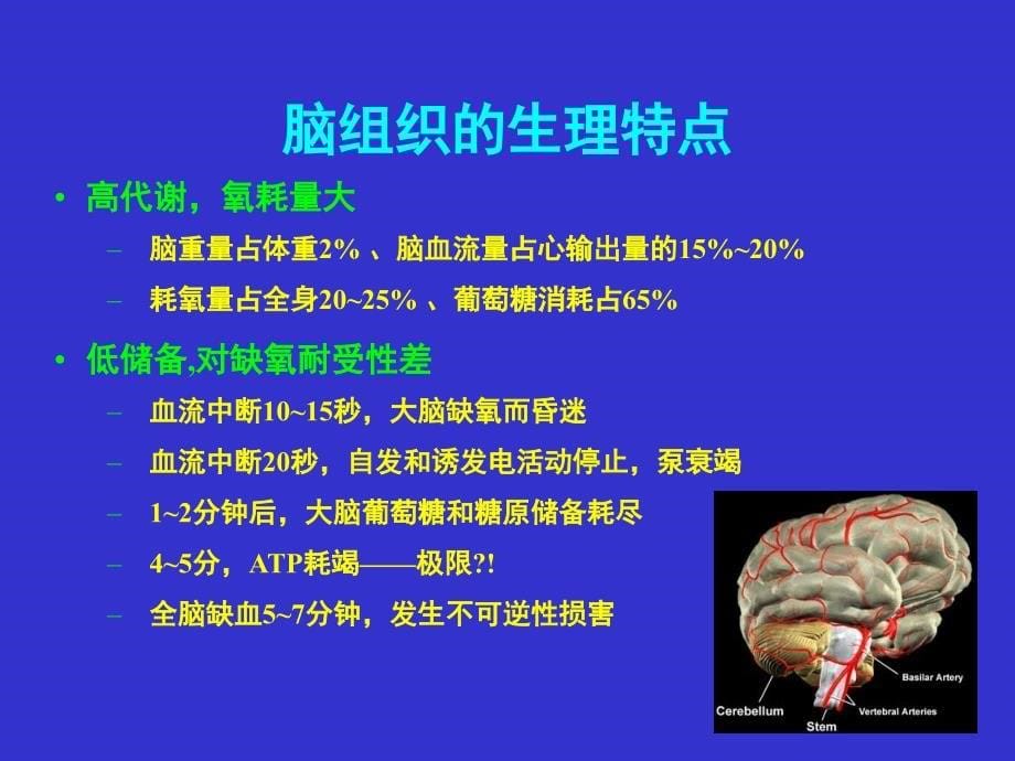 《脑保护与脑复苏》PPT课件.ppt_第5页