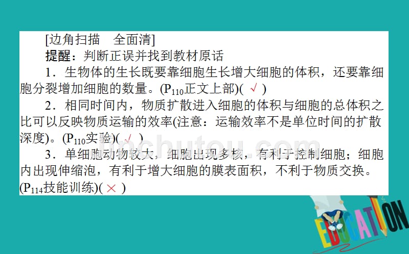 2020版高考生物二轮复习3.1细胞增殖和受精作用课件_第3页