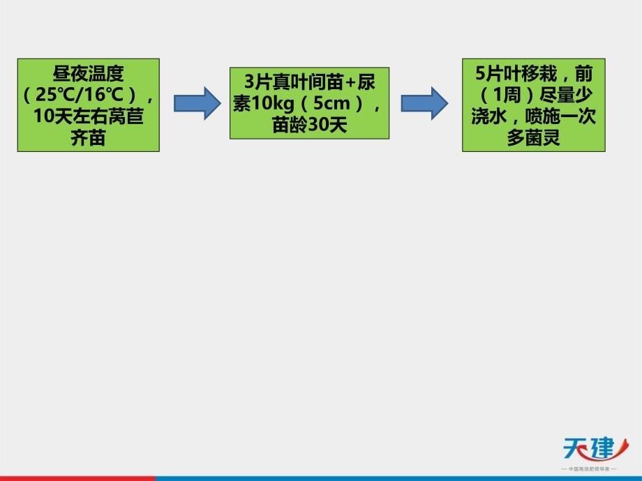 《莴苣种植管理》PPT课件.ppt_第5页