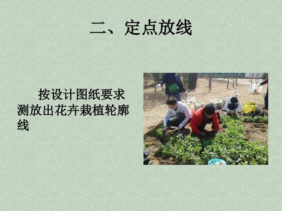 《花卉栽植施工》PPT课件.ppt_第5页