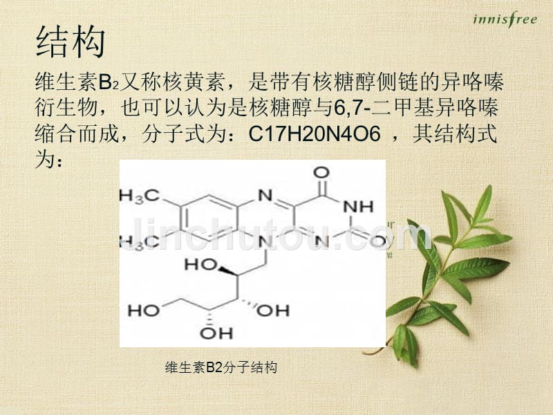 《维生素B2的介绍》PPT课件.ppt_第3页