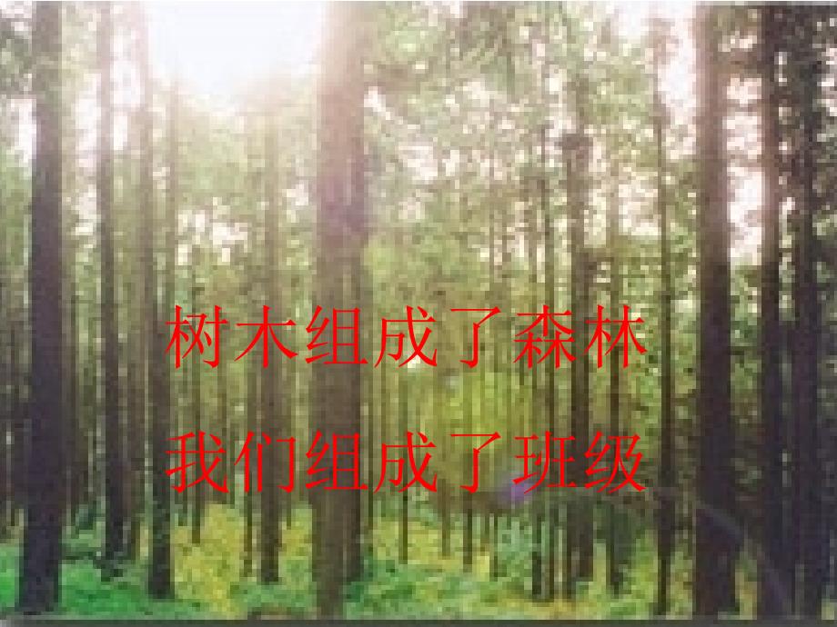 团结合作班会《不能没有你》PPT课件_第2页