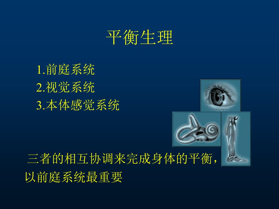 《颈性眩晕》PPT课件.ppt_第3页