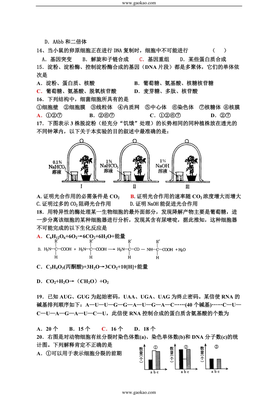 高一生物下册期末复习题.doc_第3页