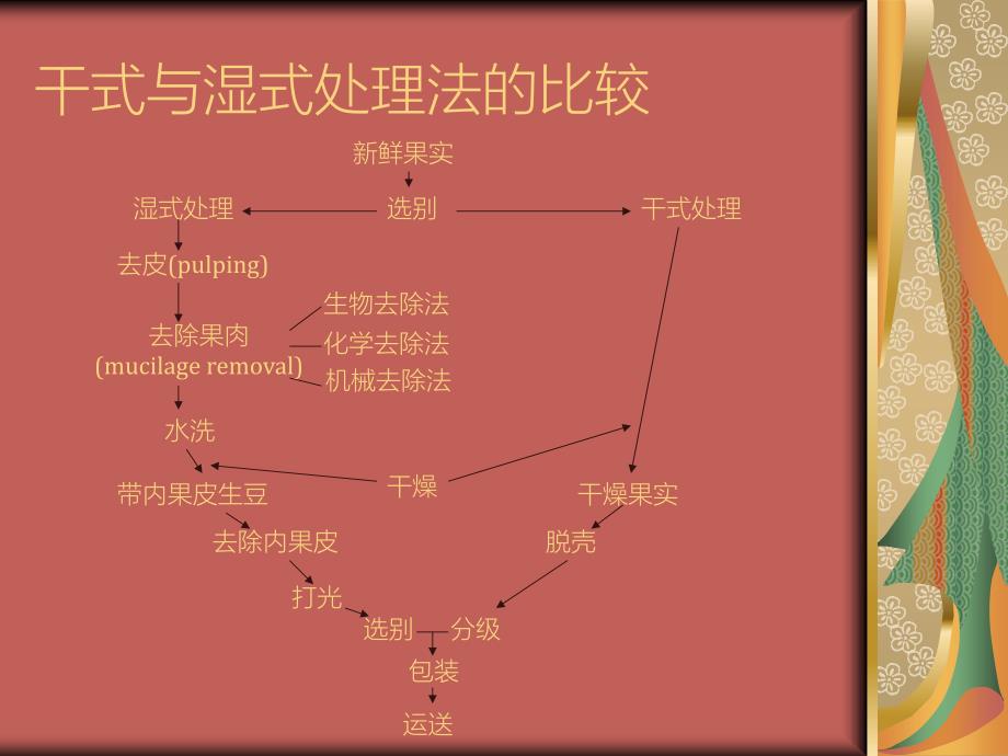 《咖啡生豆处理》PPT课件.ppt_第3页