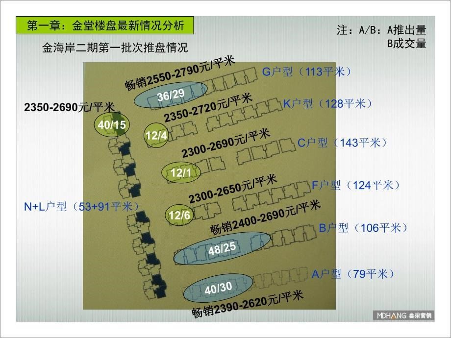成都金堂县水城印象开盘前营销推广提案-37PPT_第5页
