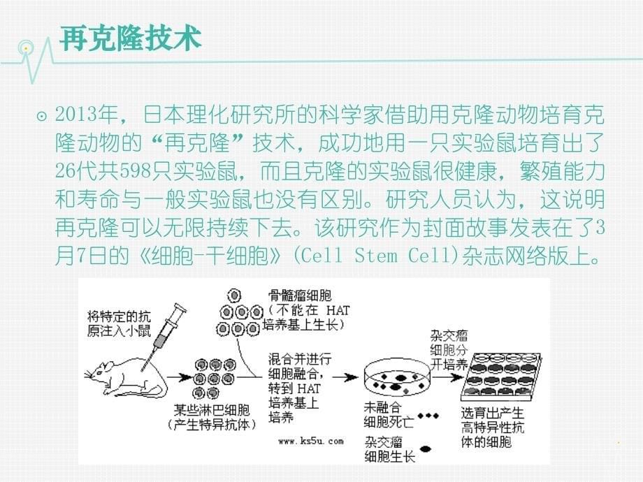 精编制作克隆技术PPT课件_第5页