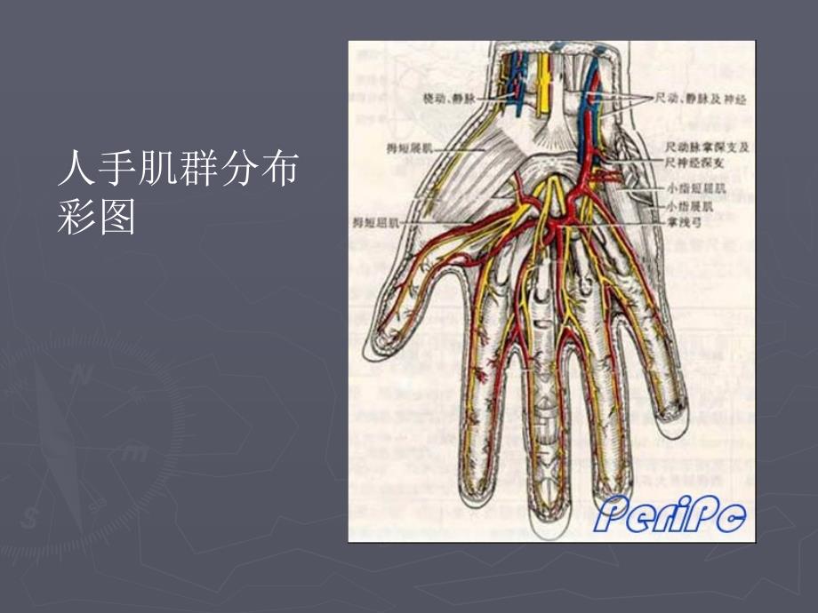 《电视遥控器面板》PPT课件.ppt_第4页