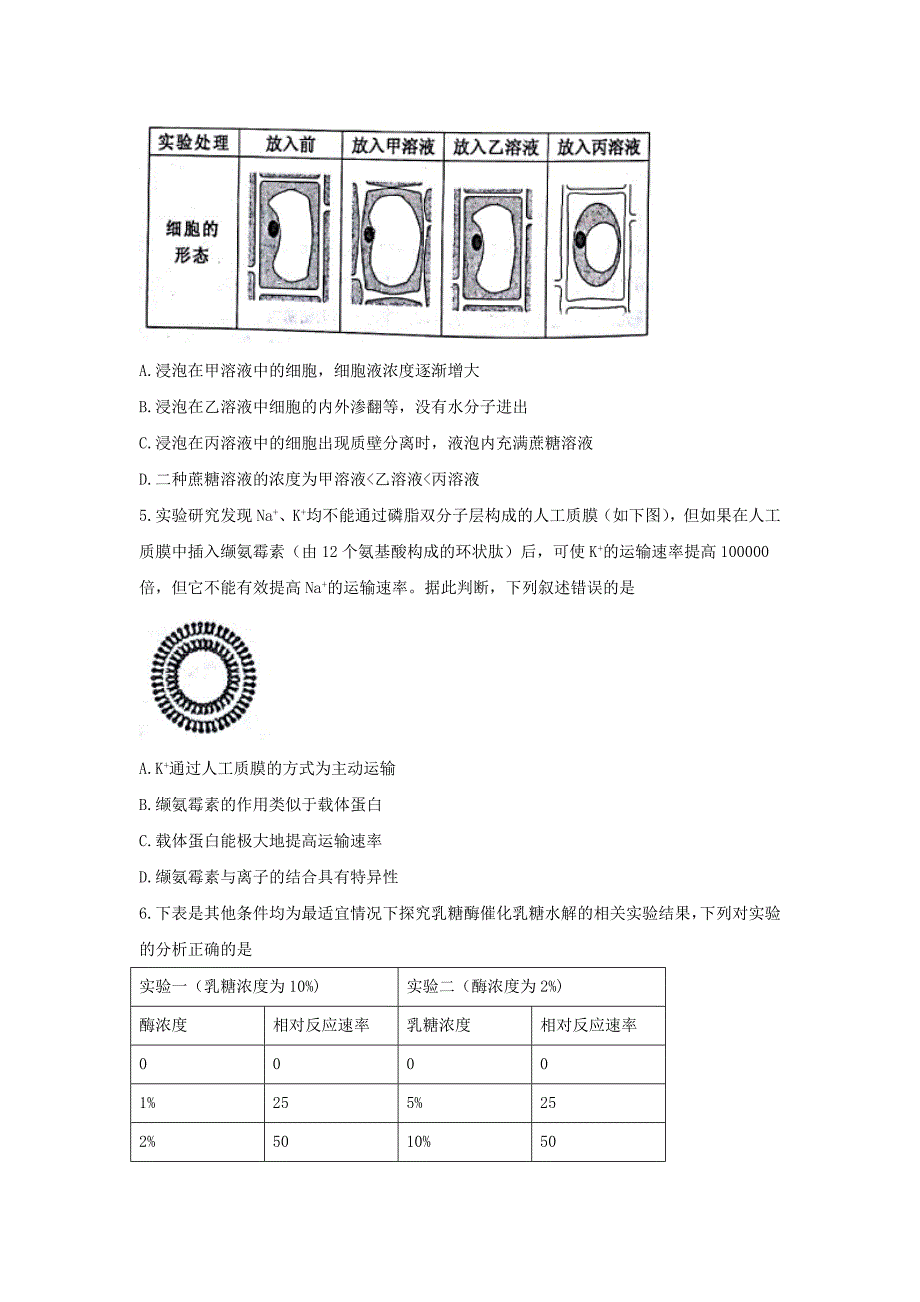 天津市红桥区高三上学期期中考试生物试题Word版含答案_第2页