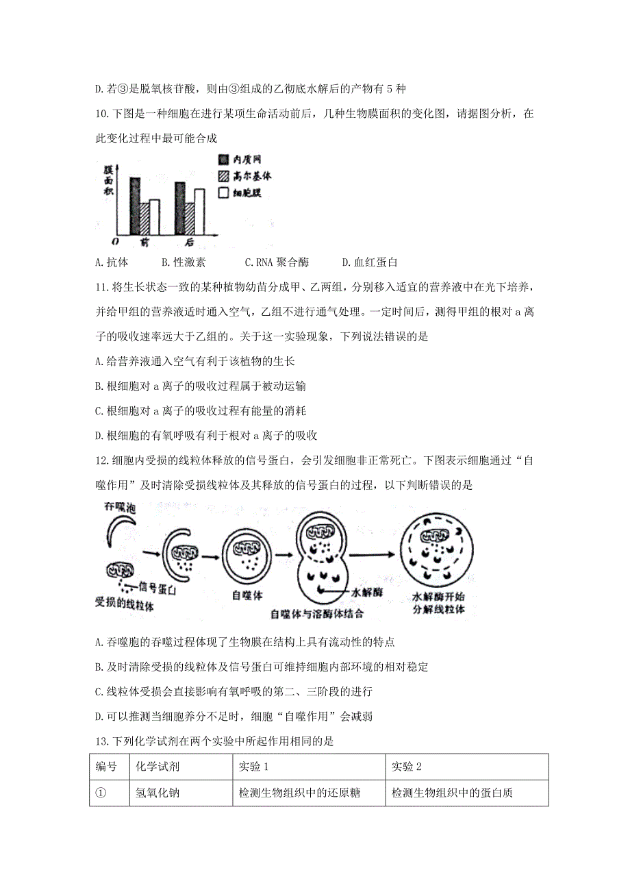 天津市红桥区高三上学期期中考试生物试题Word版含答案_第4页