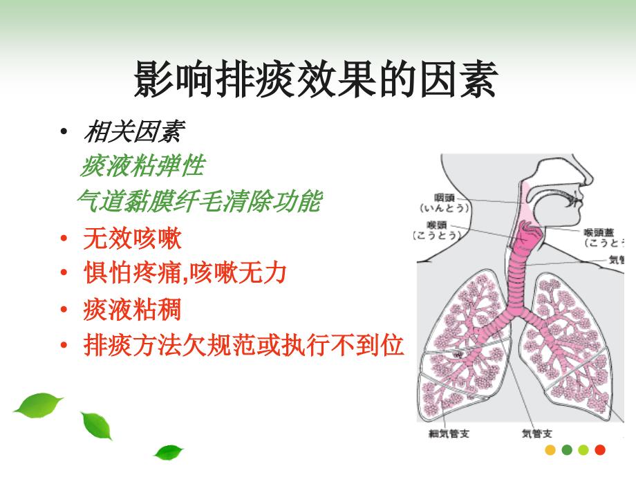 《有效排痰的护理》PPT课件.ppt_第4页