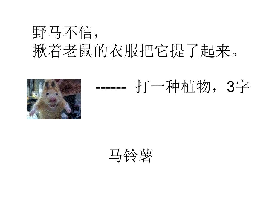 《搞笑脑筋急转弯》PPT课件.ppt_第4页