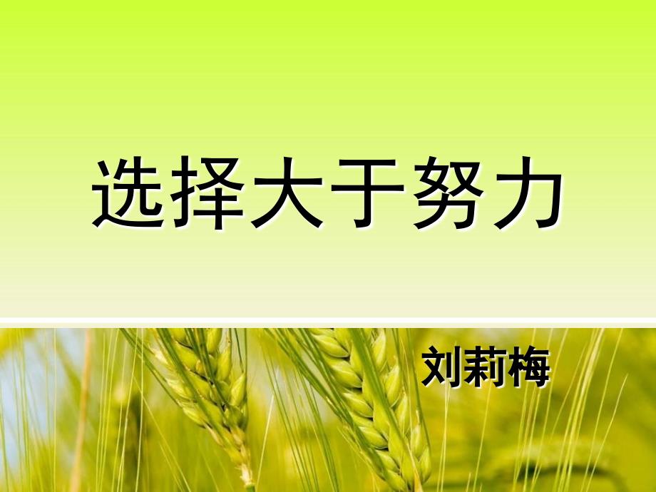 《选择大于努力》PPT课件.ppt_第1页