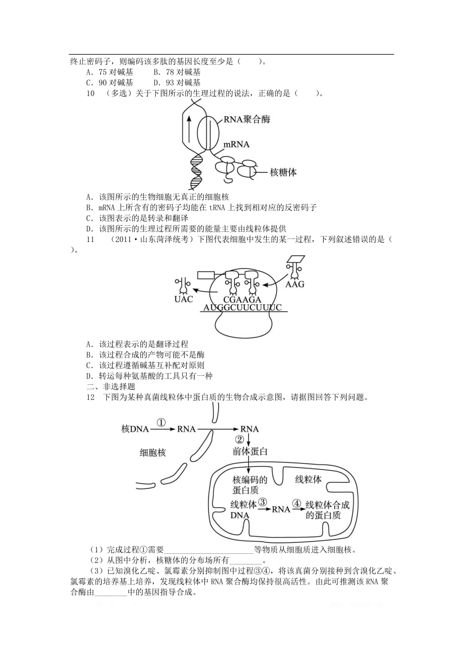 高中生物第三单元第二章第二节基因的表达课后训练_第2页