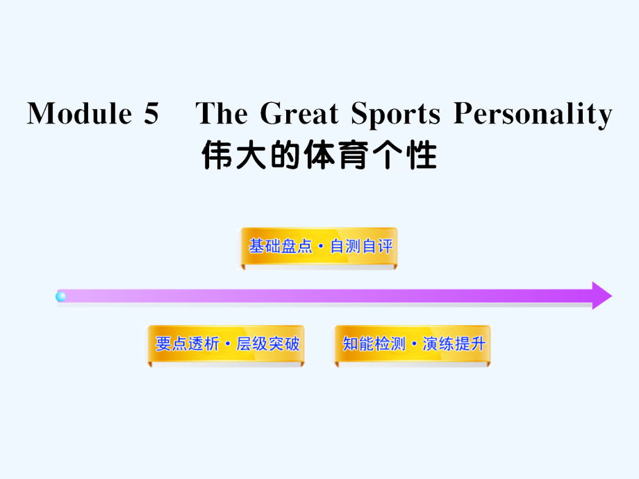 外研版高中英语必修5 Module 5《The Great Sports Personality》ppt复习课件_第1页