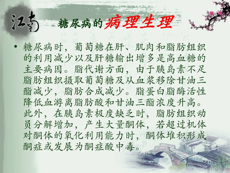 《糖尿病护理措施》PPT课件.ppt_第4页