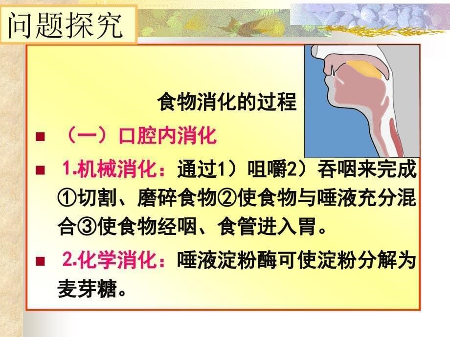 《食物消化的过程》PPT课件.ppt_第5页